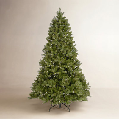 Douglas Flocked 6.5' Pre-Lit Fir Christmas Tree