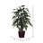 Artificial Mango Bush-575008143