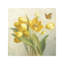 French Tulips by Danhui Nai - Wrapped Canvas Painting-402262707