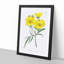 Yellow Tickseed Flowers - Framed Print-55614429-55614431