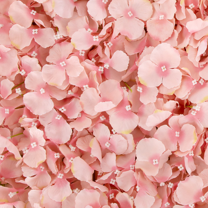 Plastic Backdrops & Signs
