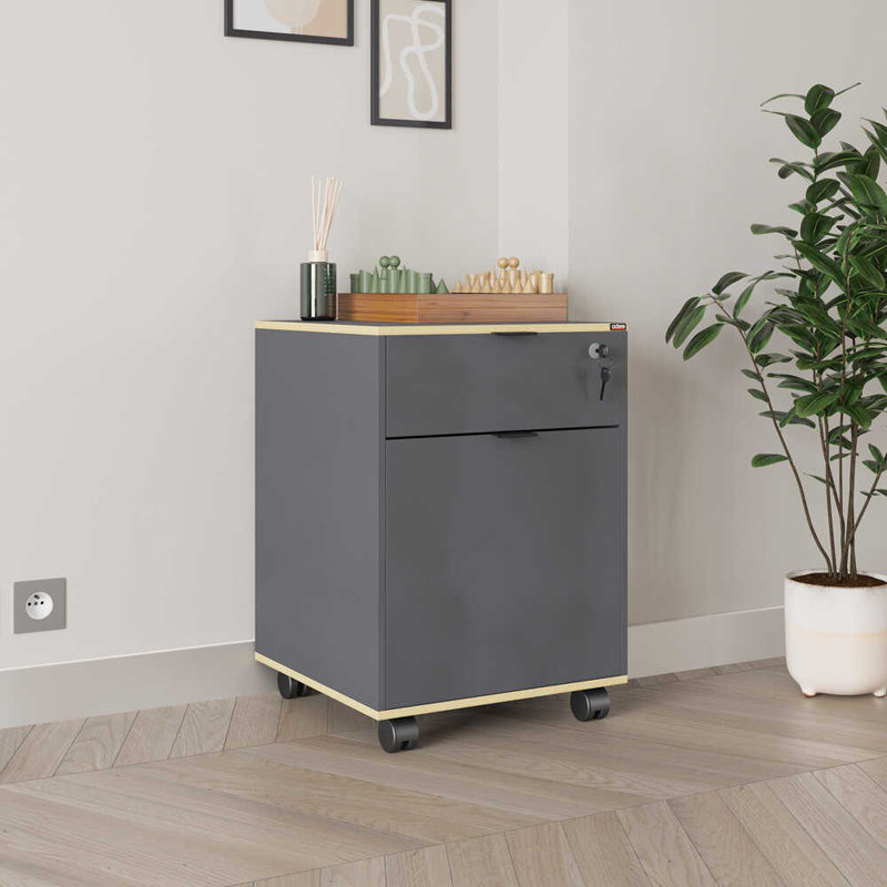 Modern Multi-Purpose Cabinet with Wheeled Legs, 16.1 x 24.0 x 16.1 inches | Coated Particle Board, Numerous Shelves, Wall-Mountable Design | Perfect for Home or Office Storage