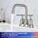 N3008H Centerset 2-handle Bathroom Faucet with Drain Assembly