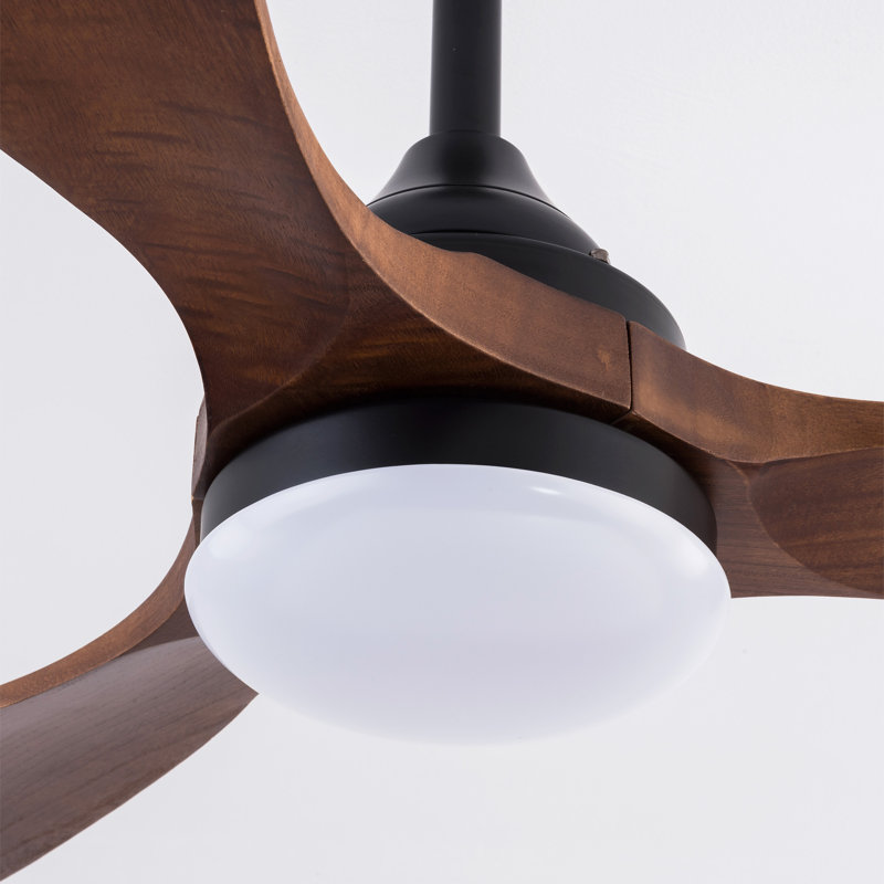 Ventilateurs de plafond noirs chauds de 52 pouces avec lumières