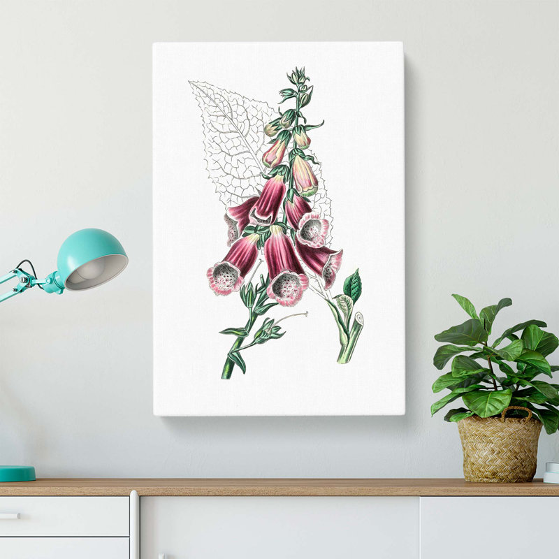 Foxglove Flowers Illustration - Wrapped Canvas Painting, 76cm H x 50cm W x 3cm D