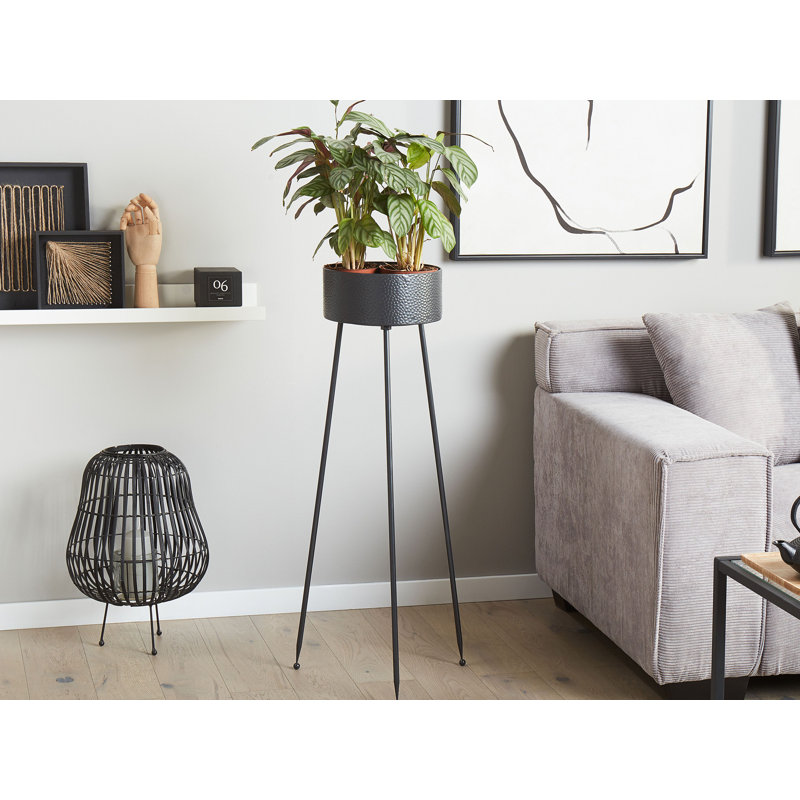 Switzer Metal Cachepot, 88cm H x 33cm W x 31cm D
