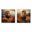 Ensemble de 2 décorations murales carrées African Lion's Savannah I - Lion-1423569774