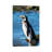 Magellanic Penguin At Rocky Shore, Falkland Islands by Martin Zwick - Wrapped Canvas Print-1770358187