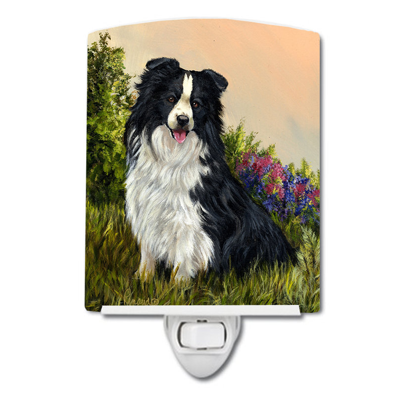 Veilleuse Westie, Border collie simplicité