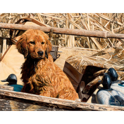 Chiot Commandant, 28 x 35,5 cm, impression sur papier sans cadre