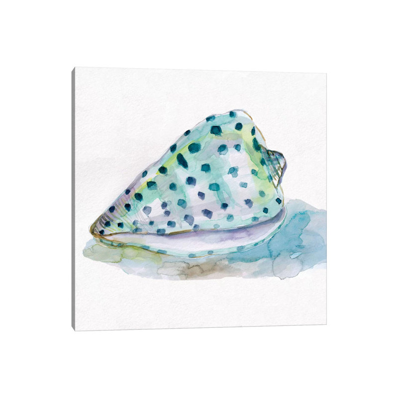 Malecon Shell IV by Carol Robinson - Print on Canvas, Wrapped Canvas, 66.04 cm H x 66.04 cm W x 3.175 cm D