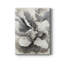 «Subtle Glam», reproduction sur toile tendue-1814768309