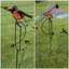 Jeu de jardin oscillant robin Aaralyn