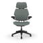 Freedom Headrest Ergonomic Task Chair - Lotus-1905901016