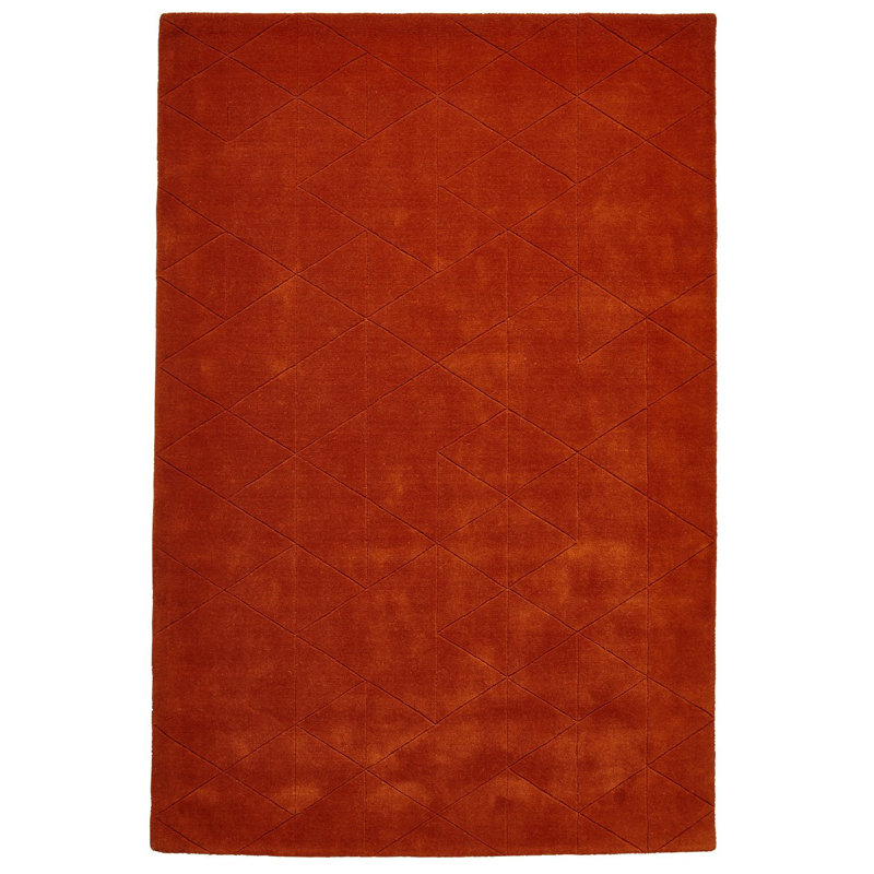 Lachonne area rug Hand Tufted Rectangle Terracotta, Rectangle 120 x 170cm