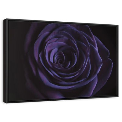 Blooming Violet Rose