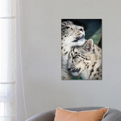 " Snow Leopard Mother And Cab " by Nik Rave