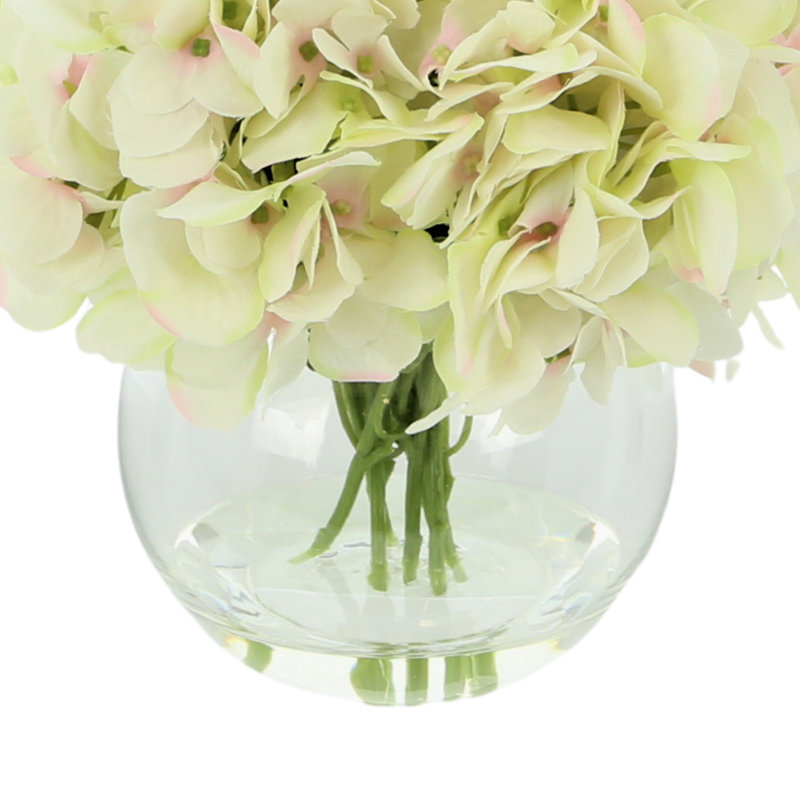 Hortensia de Carruth dans un vase