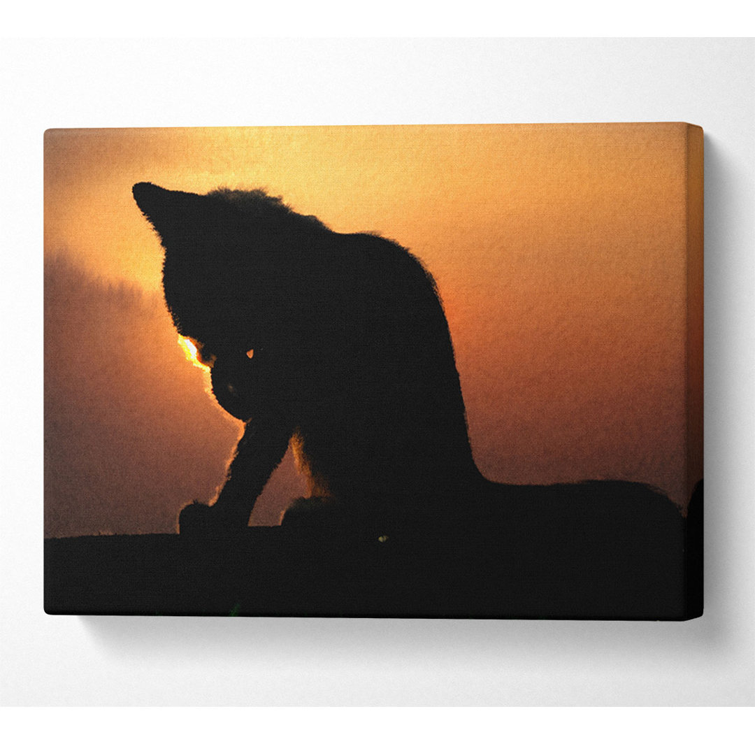 Cat In The Sunset - Druck