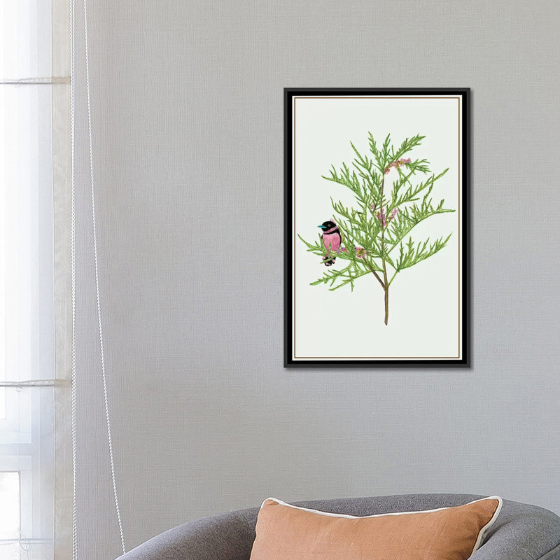 « urtica cannabina ii », impression sur toile, H 26 po x l 18 po x P 1,5 po, Toile avec cadre noir, Pas de tapis