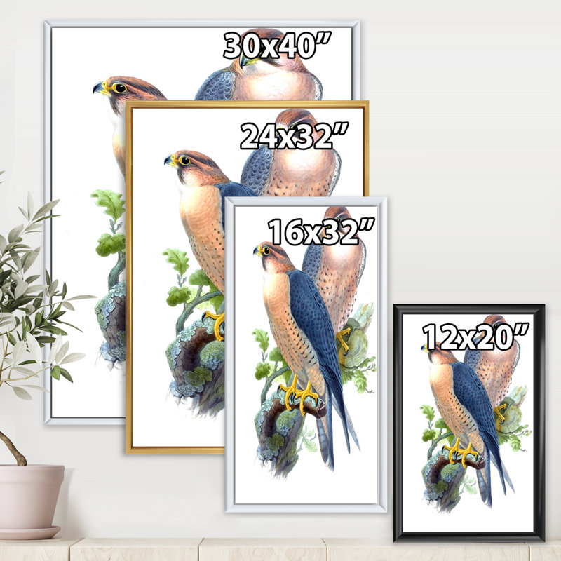 Oiseaux d'époque II - peinture sur toile, H 20 po x l 12 po x P 1po, Cadre flottant noir