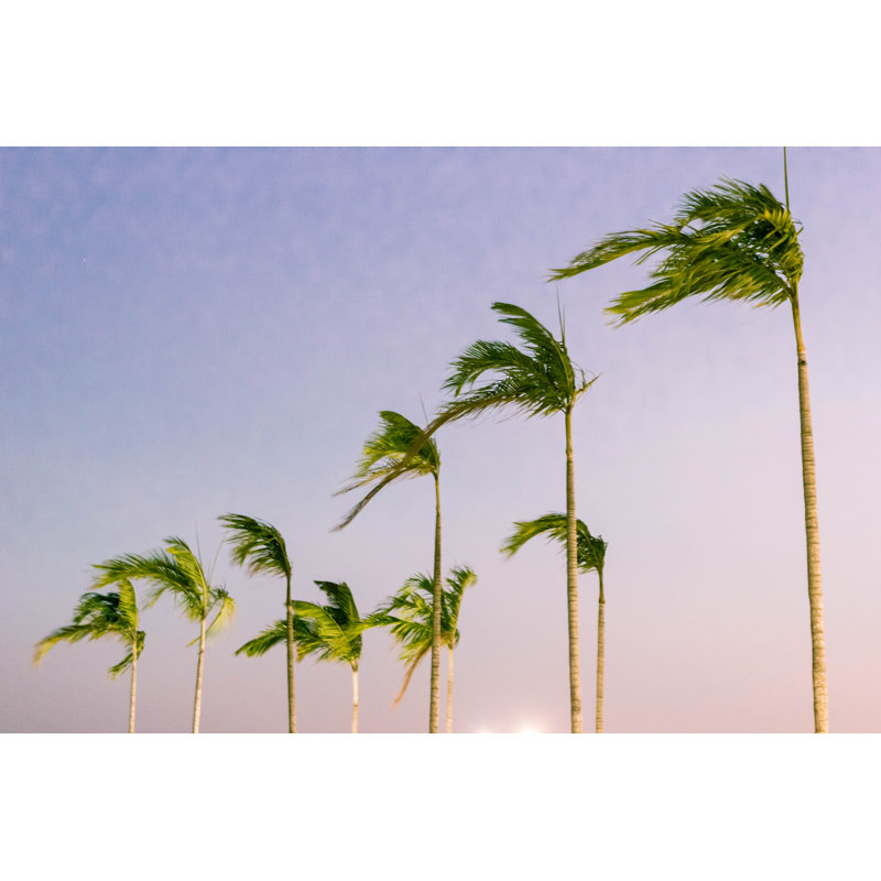Palm Trees Under the Wind 1 Piece Wrapped Canvas Wall Art, 81cm H x 122cm W x 3.8cm D