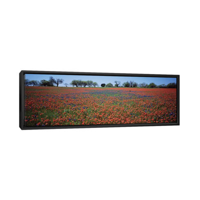 «Indian Paintbrush & Bluebonnets, Texas», reproduction de photo sur toile