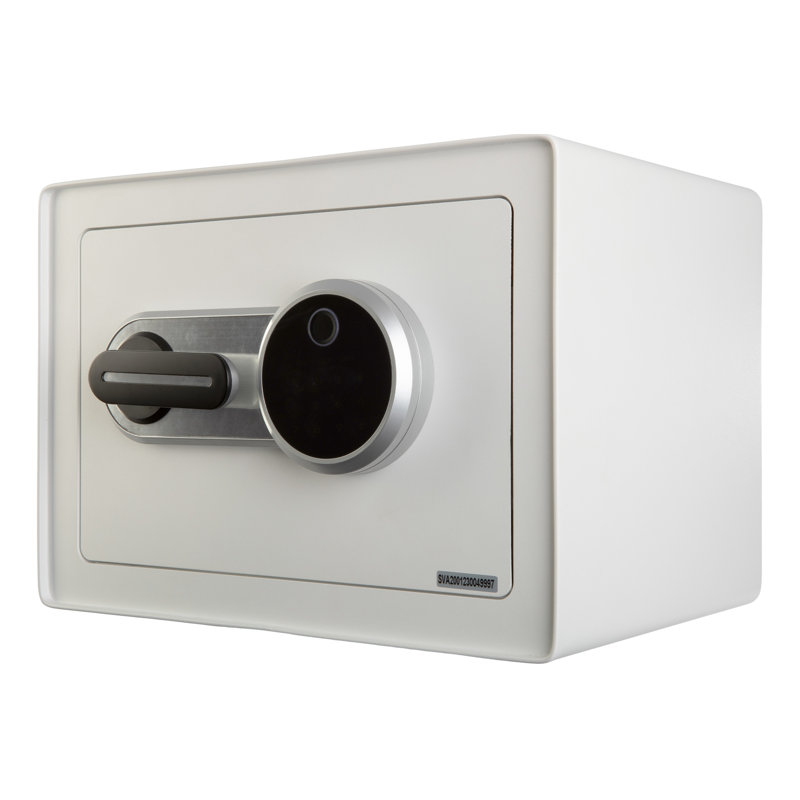 Stalwart Biometric Safe - Lock Box with Fingerprint Scanner and Digital Key for Quick Access - Money Safe for Cash and Jewellery - Home Safes