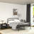 14" Metal Bed Frames  , No Box Spring Needed, Platform Bed Noise Free, Bedrooms With Elegant Modern Design,Queen-155294139