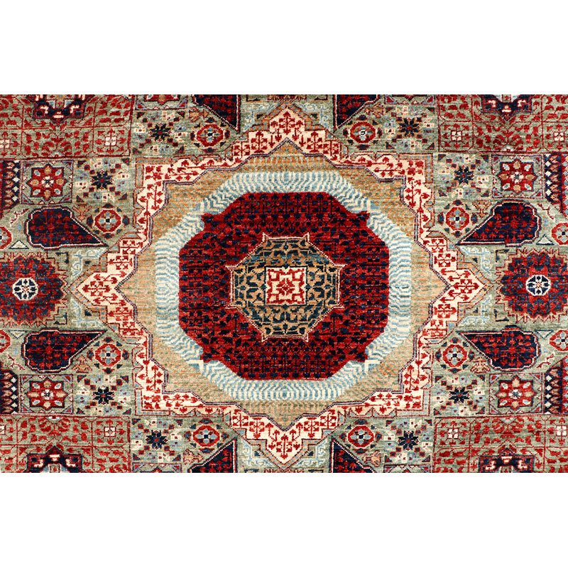Aryana Hand Woven Wool Oriental Area Rug