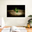 Harnek plante sur souche-107671587