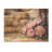 Farm Peonies In The Hayloft II - Peonies Wood Wall Art - On Natural Pine Wood-746268313