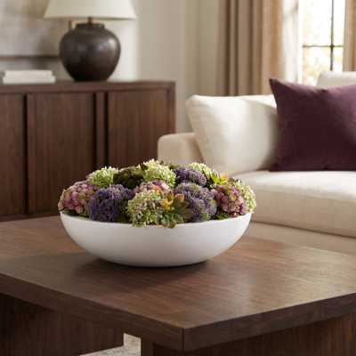 Assortiment de Sedum et arrangement de plantes grasses dans un pot rond