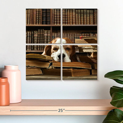 Chien et livres Brampt