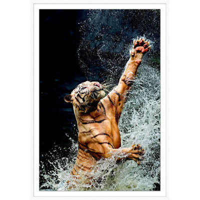 Tiger Jump 1 Print by Mat Sanders