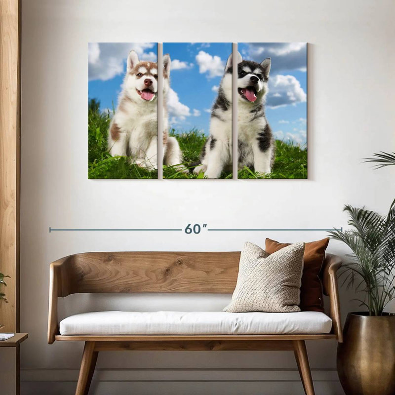 Husky Babies, H 28 po x l 45 po