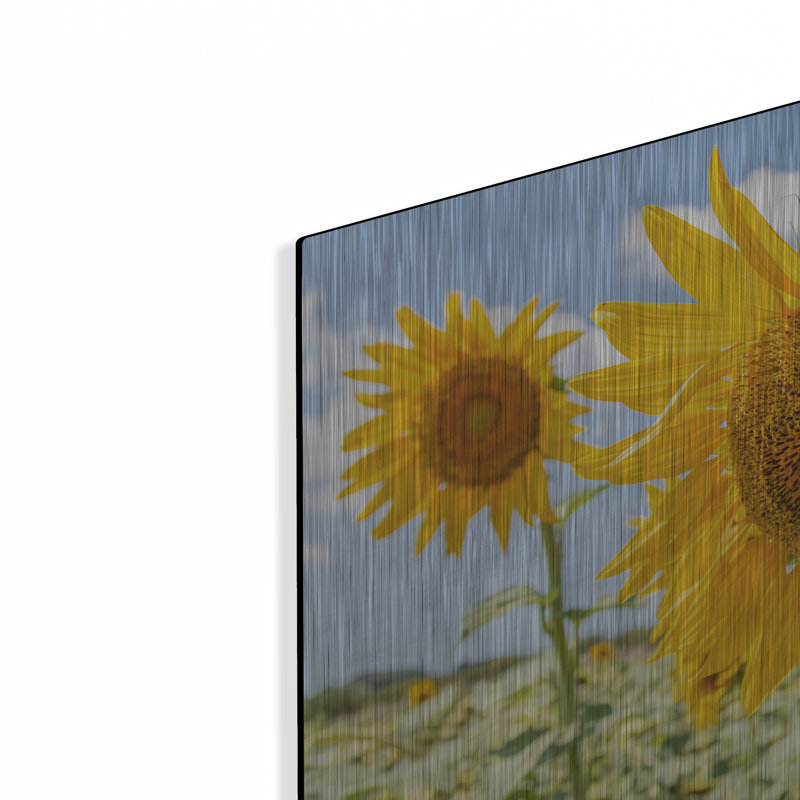 «Sunflowers I» par Richard Silver, H 24 po x l 36 po