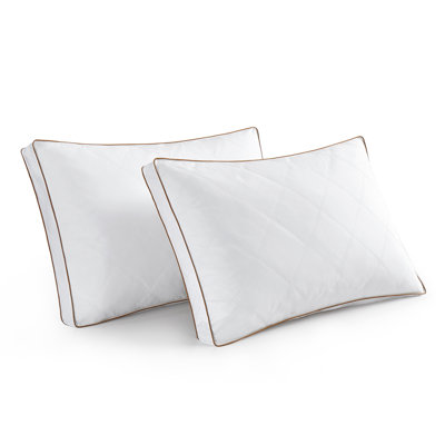 Oreiller gris en duvet d'oie (ensemble de 2)