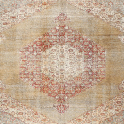 Oriental Indoor Rug