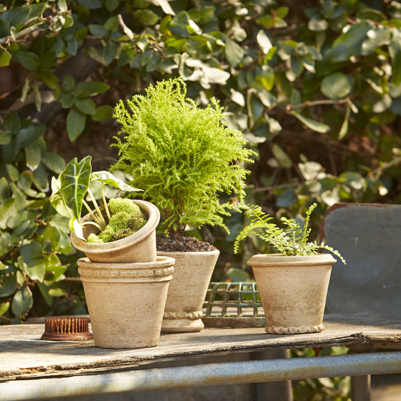 Mini pots blancs Gavin, Rustique