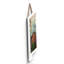 Cities & Countries Wall Decor