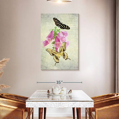 Papillon Brampt botanique II