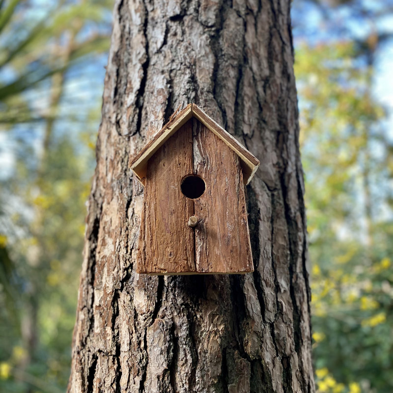 Rustic Barkwood Mounted Bird House