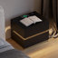 Davaun Modern Smart 2-Drawer LED Bedside Table With Wireless Charging Station-1961746071