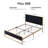 Sheila Upholstered Platform Bed with Velvet Tufted Headboard-810009475-815495200