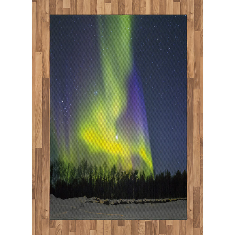 Alaska High Density Long Fiber Poly Threads Decorative Area Rug Carpet, Rectangle 4' x 5'8"