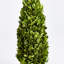 Alby Faux Plant-627489289