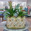 Fern Handmade Planter