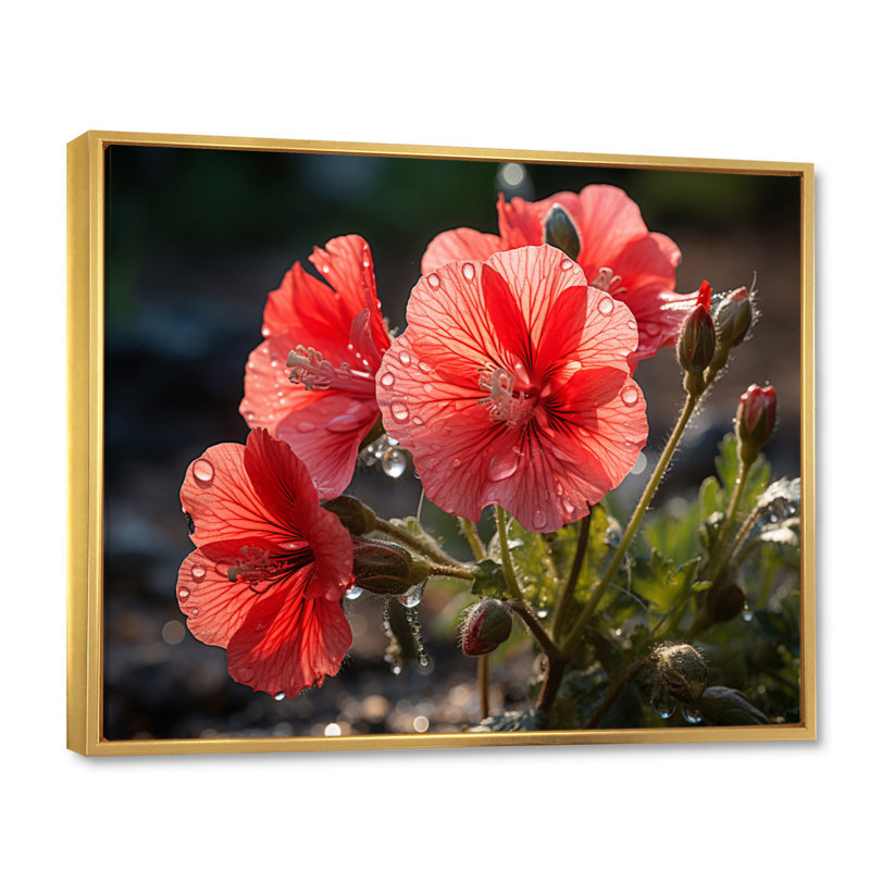 Corail géraniums - impression, H 30 po x l 40 po x P 1,5 po, Cadre flottant doré