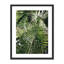 Palm I Print by Vitaliy Paykov-48619986-48619987